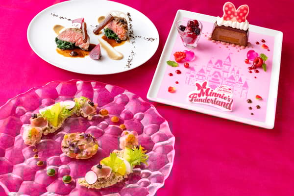 Canna Disney Pal-Palooza Minnie's Funderland Stylish Canna