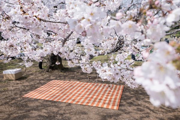 Picnic Rug made from recycled paper