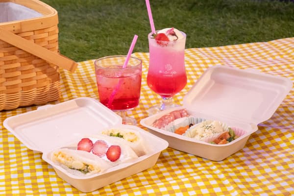 Indoor cherry blossom picnic setup at Ofuro Cafe Utatane