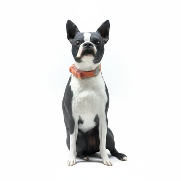 Ejemplo de figura: figura de mascota (perros, gatos y más)