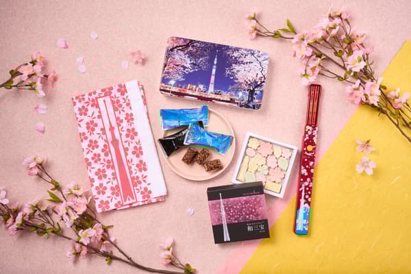 봄 한정 사진 서비스