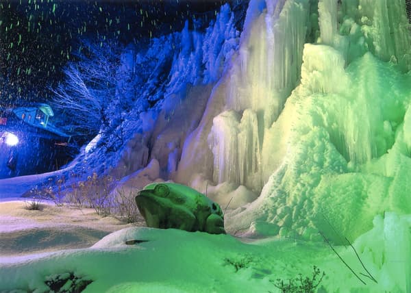 Ganador del gran premio del Concurso de Fotografía de 2024