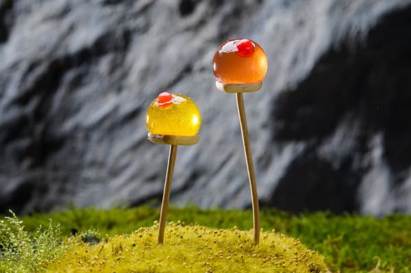 Paté de frutas inspirado en Tamagoke