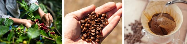 Kona coffee menu lineup