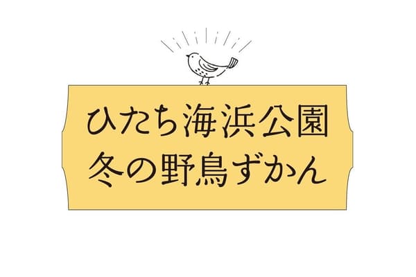 겨울 철새 가이드 미리보기