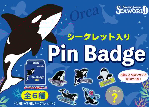 Regalo especial de pin