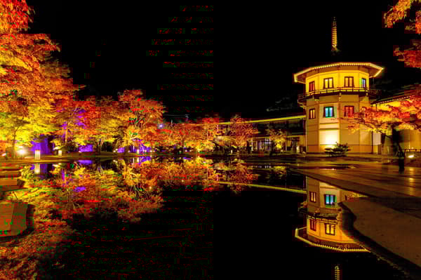 Hojas de otoño y pagoda de Matsushima Rikyu