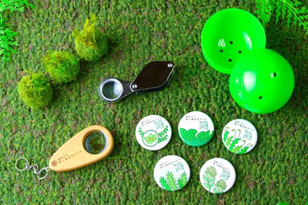 Moss Capsule Toy