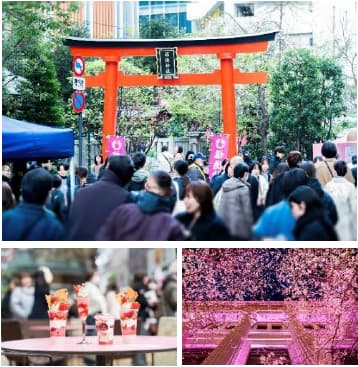 SAKURA FES NIHONBASHI 2026