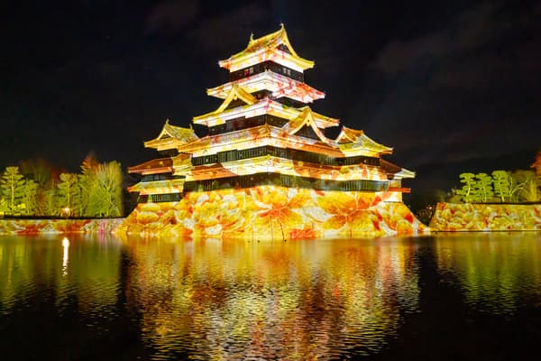 Cherry blossom projection mapping
