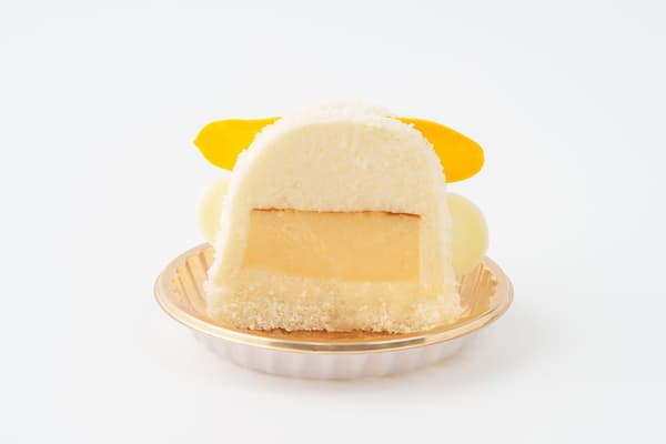 ภาพตัดขวางมิชิมารุคุง ปิโยริน