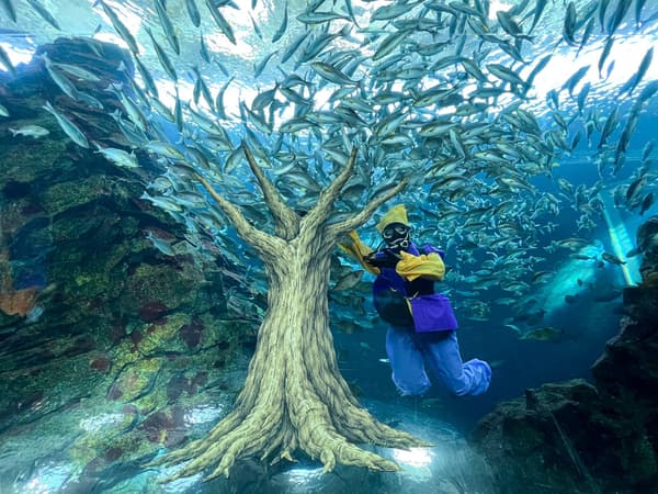Hanasaka Diver feeding fish in the main tank