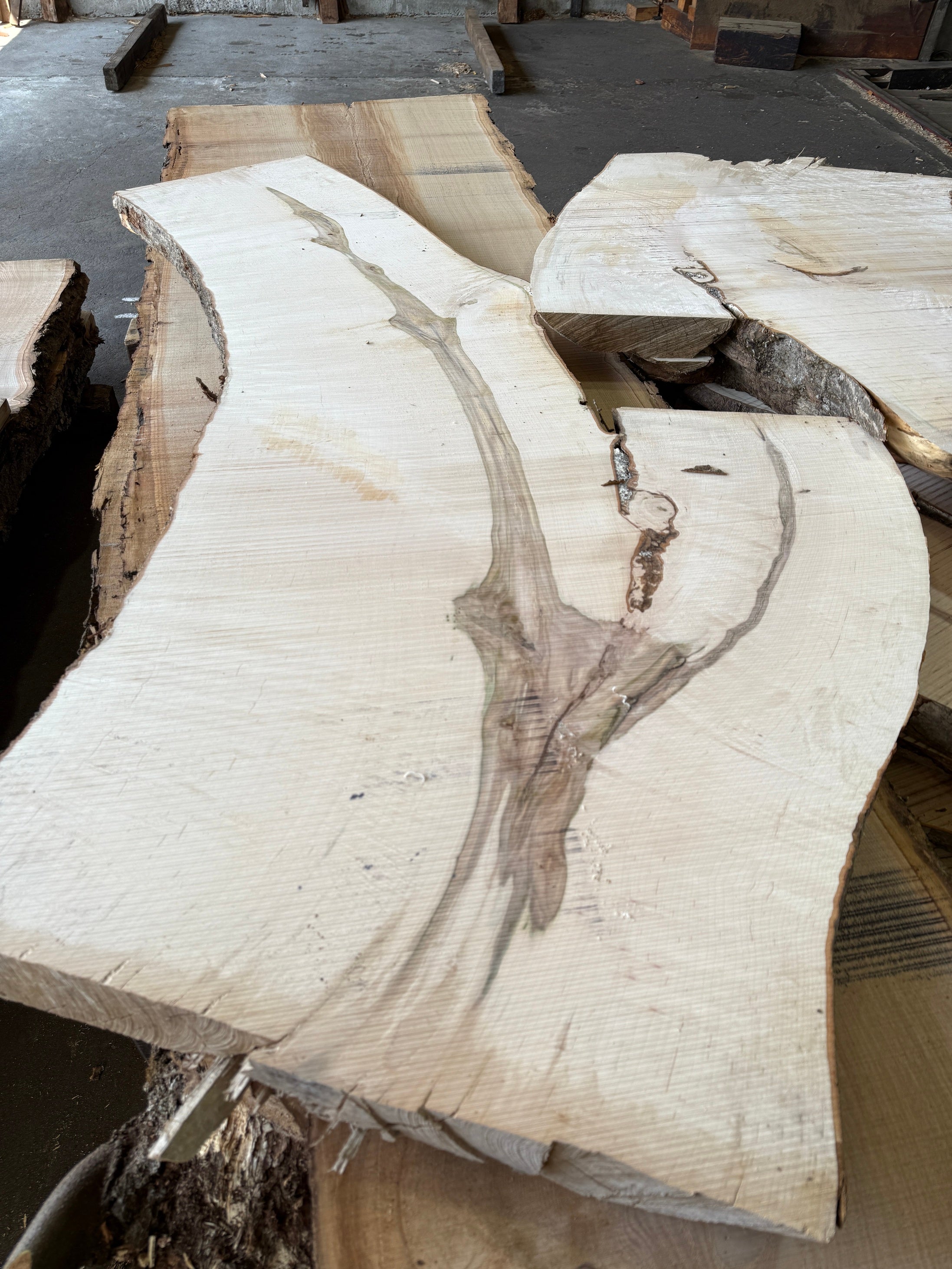 How did this itaya maple survive? Let your imagination wander.