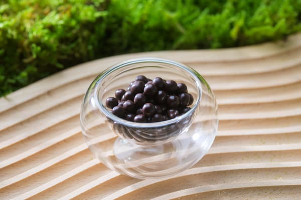 象徵樹木種子的巧克力泡芙