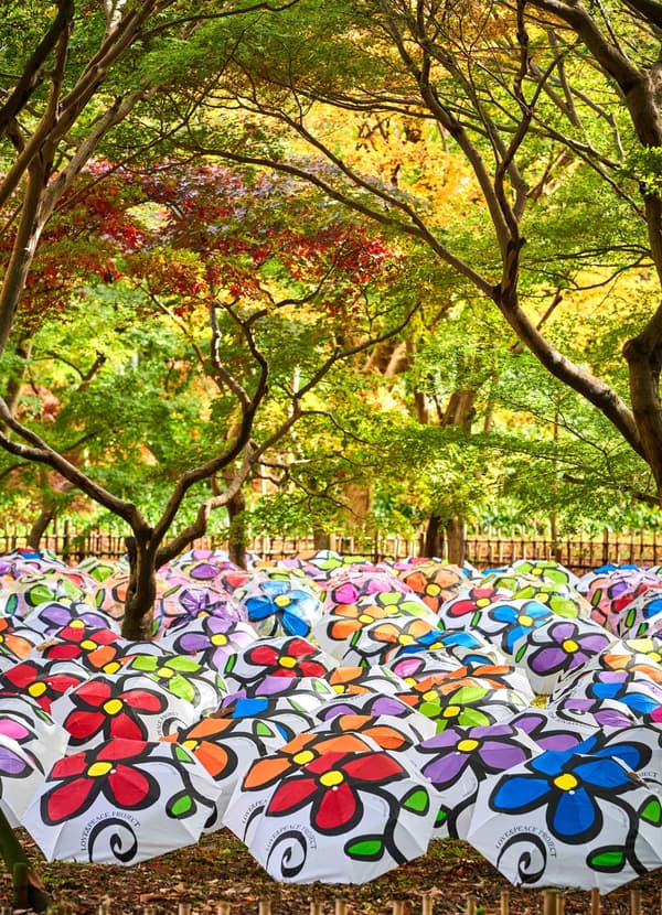 艺术家MireyHIROKI（神代植物公园，2019年）