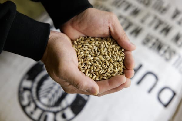 Detalle de la mezcla de maltas