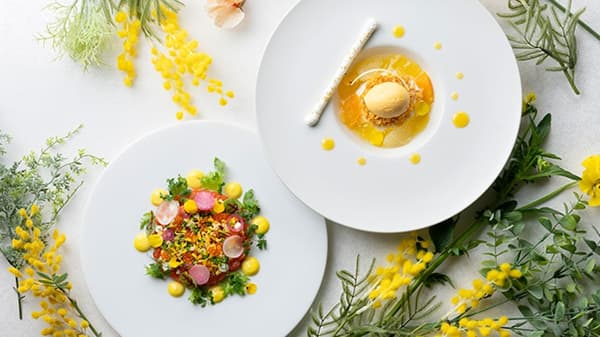 HAPPY MIMOSA FAIR 2026 — Mimosa-inspired hors d'oeuvres and desserts