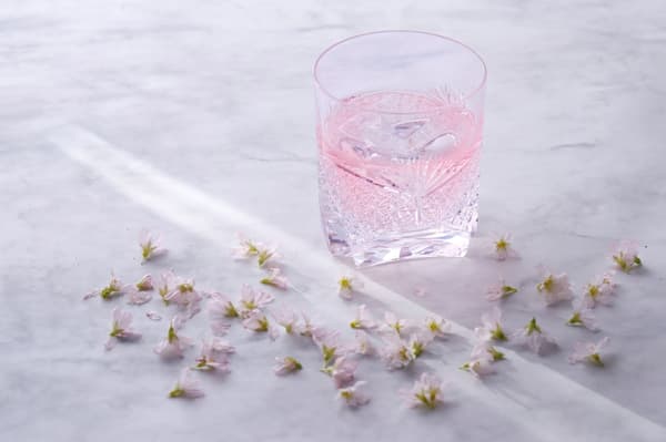 SAKURA MARTINI