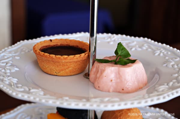 巧克力挞和草莓巴伐利亚奶油