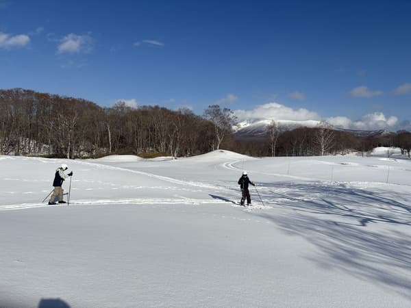 Cross-country skiing image