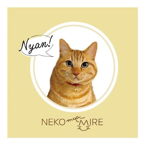 Memo Pad Cover Example