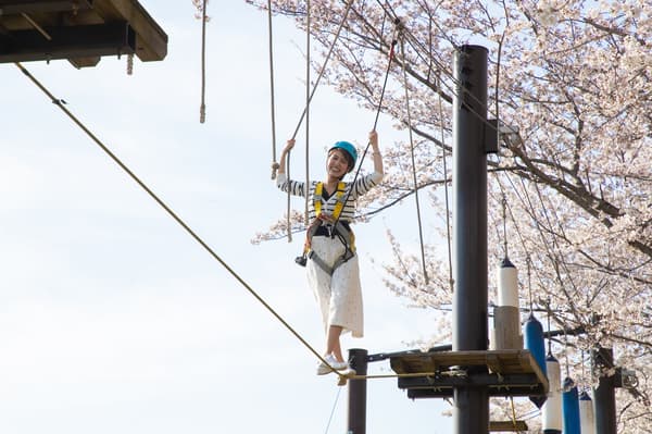 Tengu Dojo aerial obstacle course