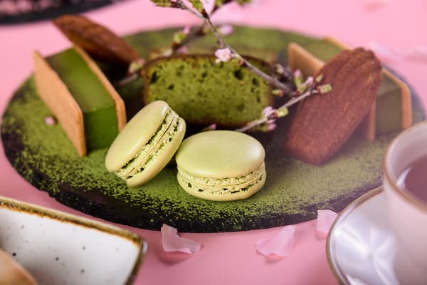 코뮤니티의 봄 애프터눈 티