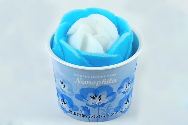 Es Babahera Kodama Reika “Nemophila”