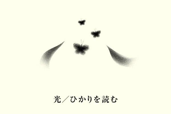 Light / Reading the Light