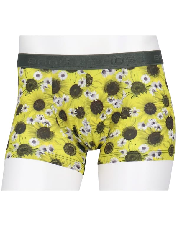 YE (ตระกูลสีเหลือง)