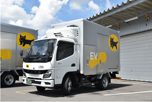 Lucky Bags and Lucky Box