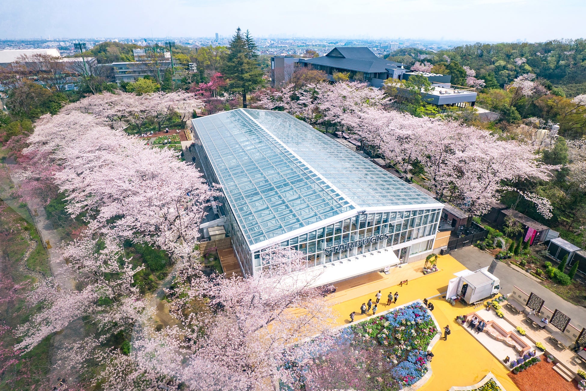 Approximately 250 Cherry Blossom Trees Blooming at HANA・BIYORI (Previous Event)