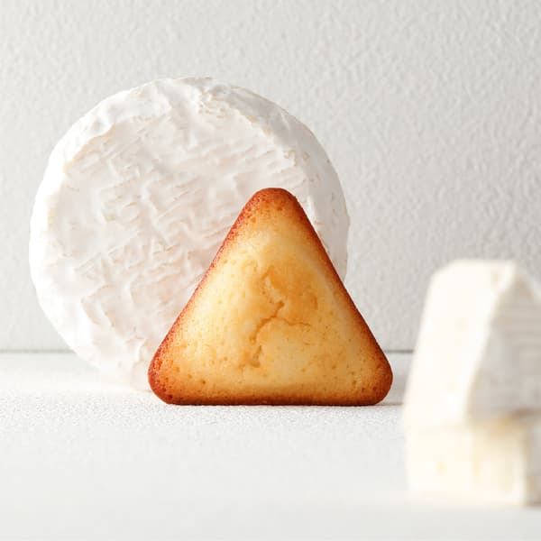 Cheese Financier Rich