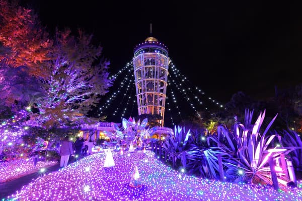 Jewel of Shonan (Winter Illumination)