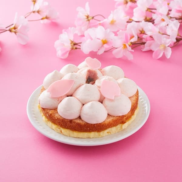 Gateau de Voyage Torokeru Sakura