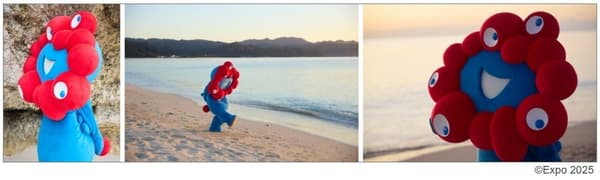 Book details and special photo card information