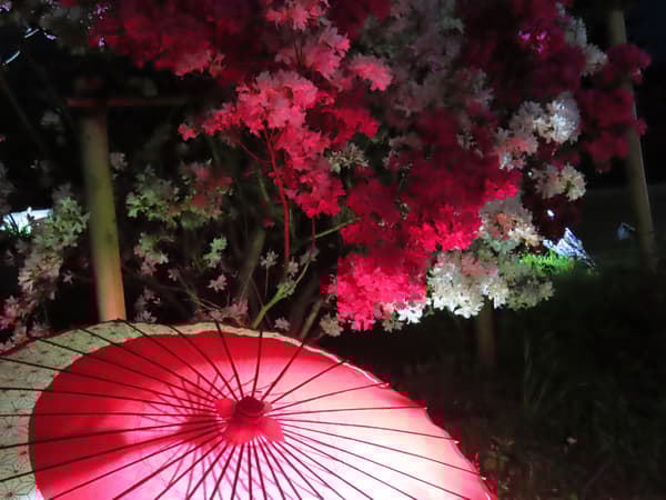 日式雨傘和竹筒燈飾