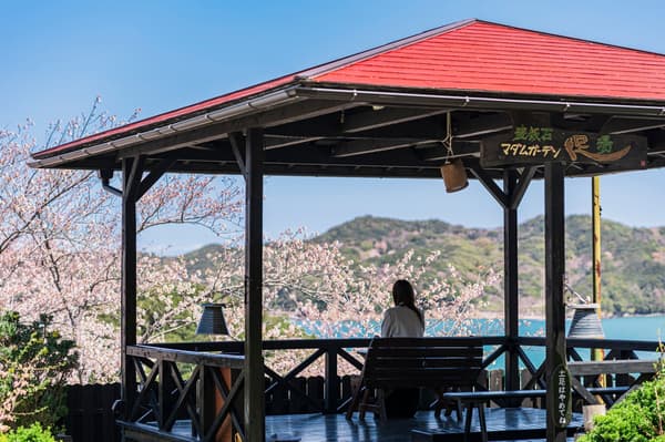 Foot bath in the garden with a view of cherry blossoms