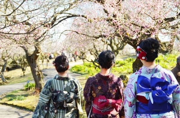 2026年2月22日提供和服租賃和穿著服務