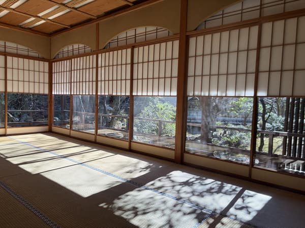 Tree shadows cast on 16-mat tatami