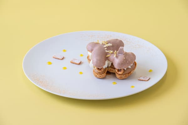 Noisette Citron Mini Airplane Choux