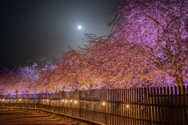 Iluminasi malam hari (dari tahun 2025)