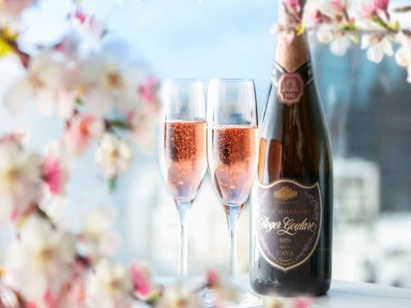 Premium Anniversary Plan