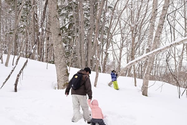 Natural Museum Garden