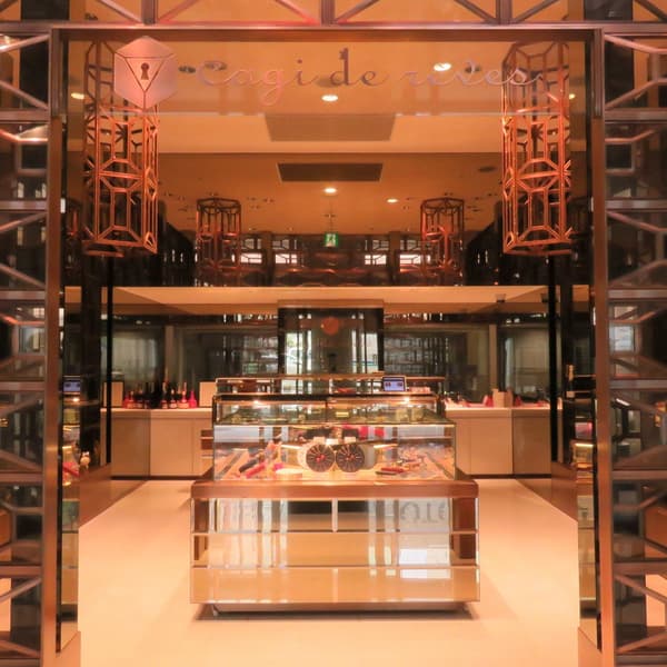 Cagi de rêves store