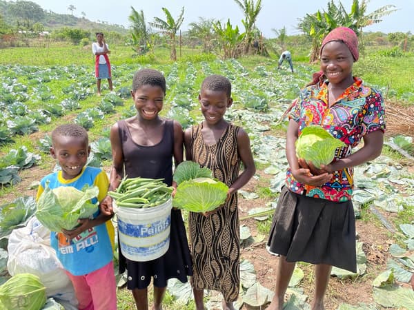 Verduras de Miyazaki