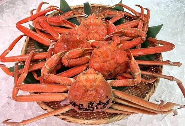 Boiled Snow Crab from 2,000 yen