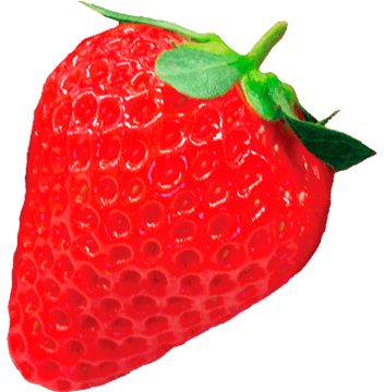 Variedad Berry Pop Suzu