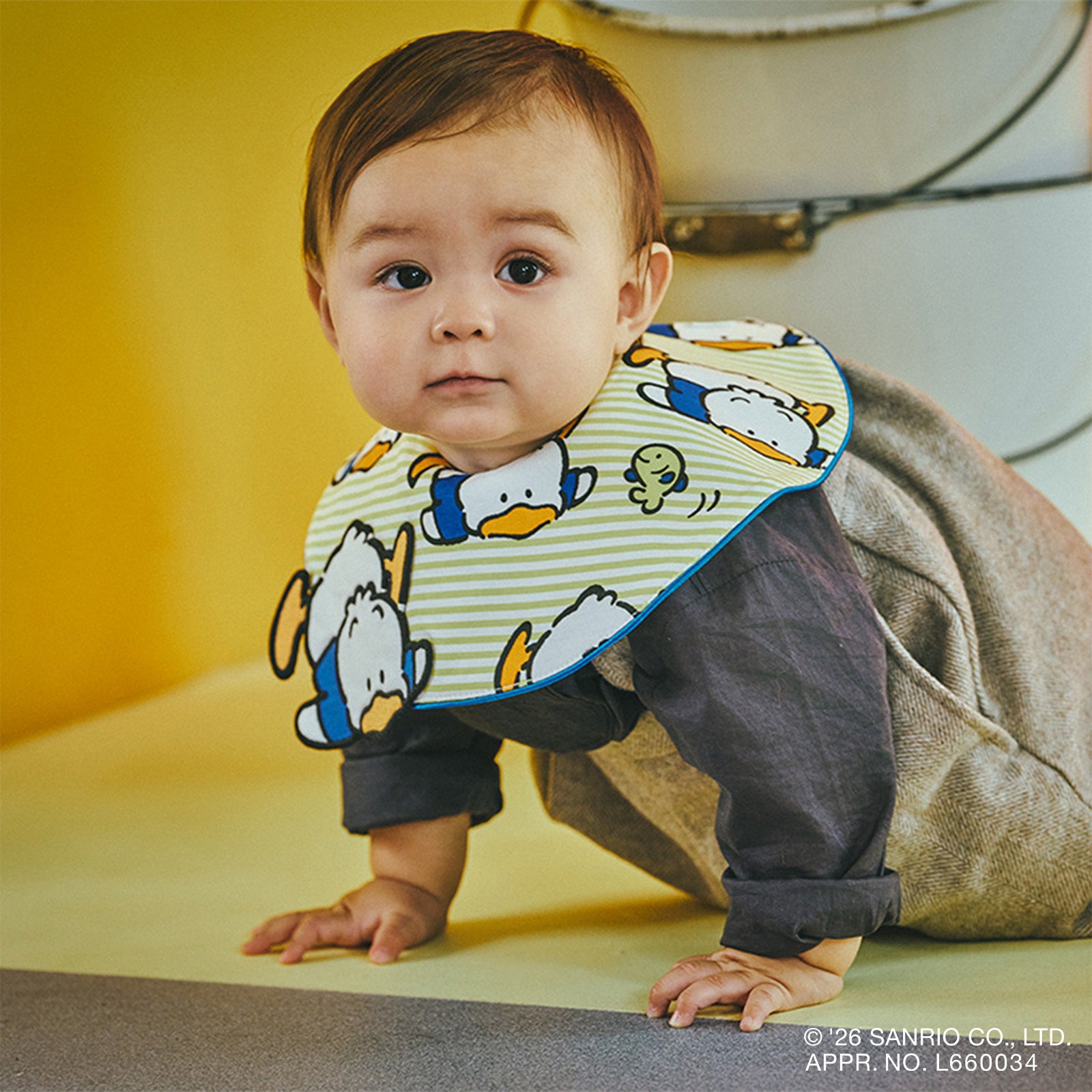 AHIRUNOPEKKLE ¥4,620