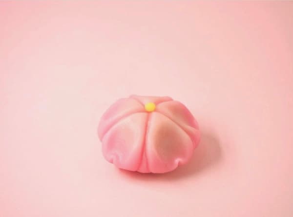 Kyoto Confectionery Making Experience